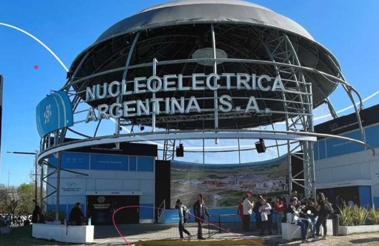 nucleoelectrica