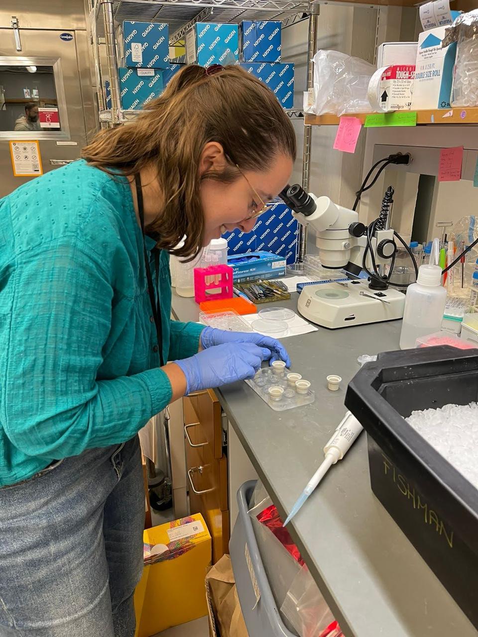 Sus investigaciones en Estados Unidos.